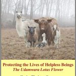 Protecting the Lives of Helpless Beings: The Udamwara Lotus Flower