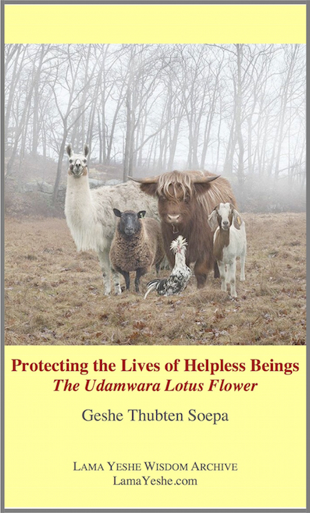Protecting the Lives of Helpless Beings: The Udamwara Lotus Flower